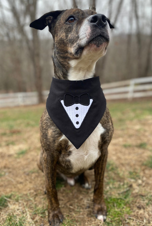 Tuxedo Dog Bandana