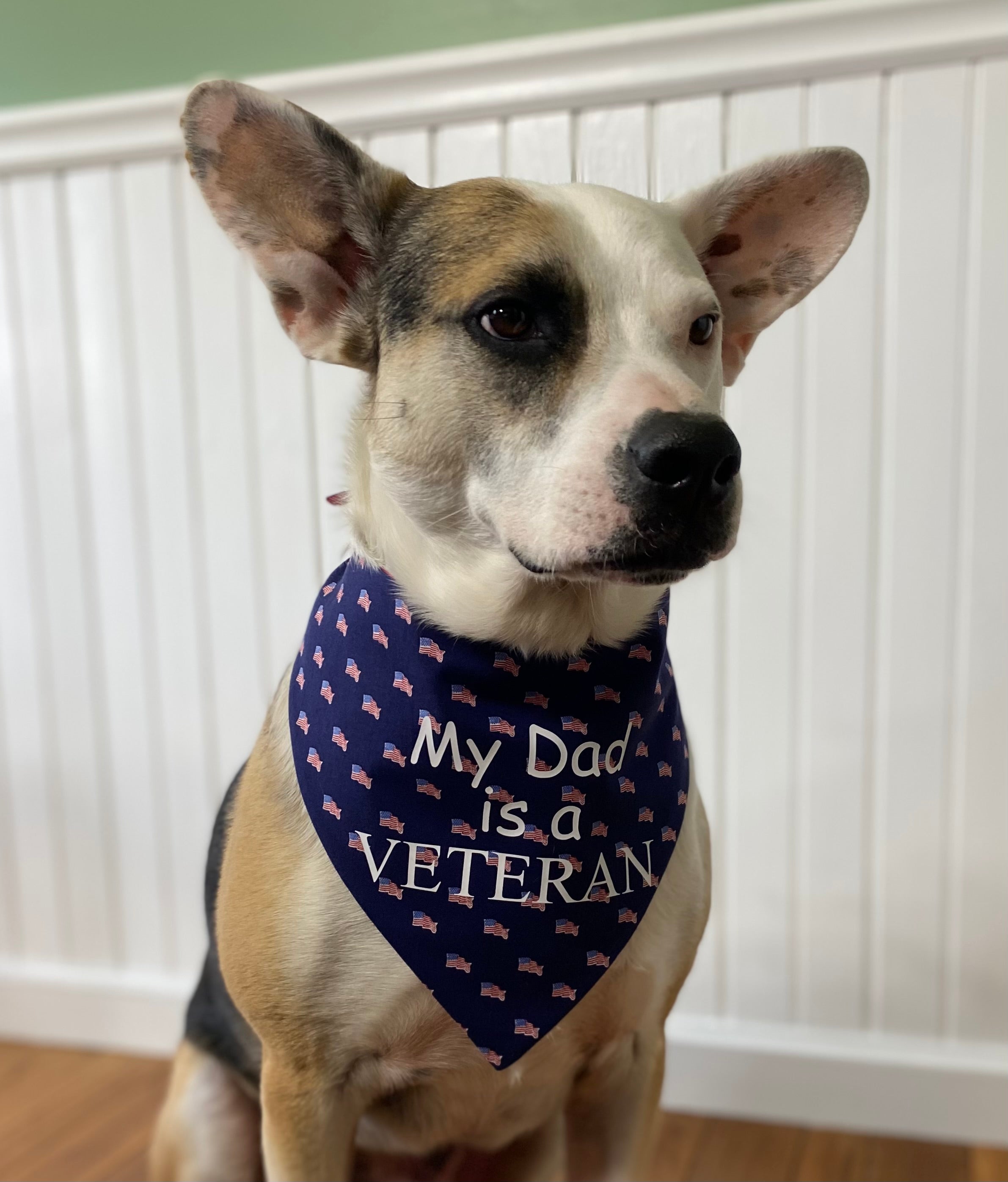 My Mom Dad is a Veteran Dog Bandana Somerset Stitches