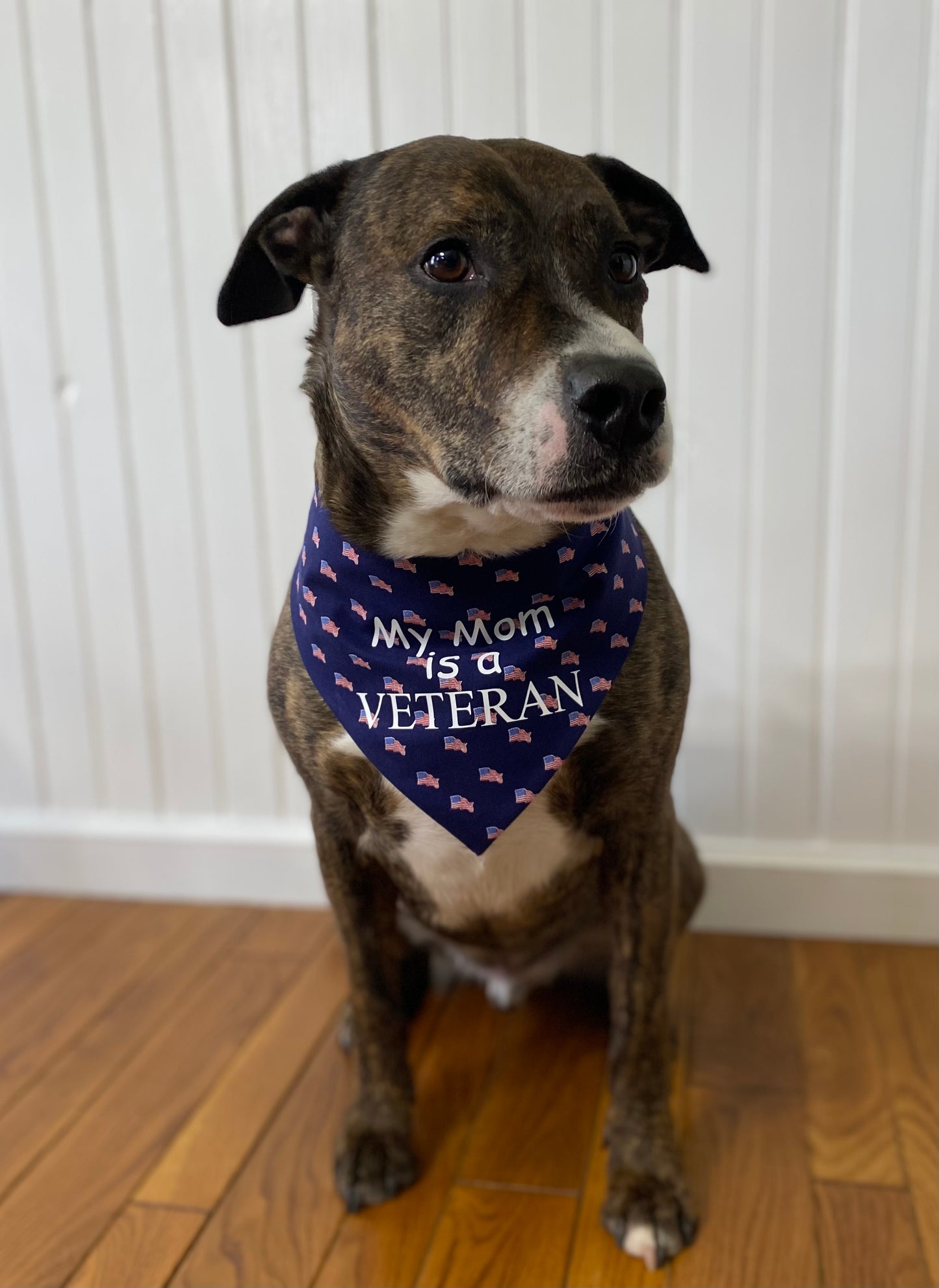 My Mom/Dad is a Veteran Dog Bandana