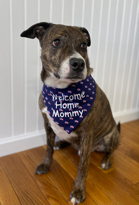 Welcome Home Mommy/Daddy Dog Bandana